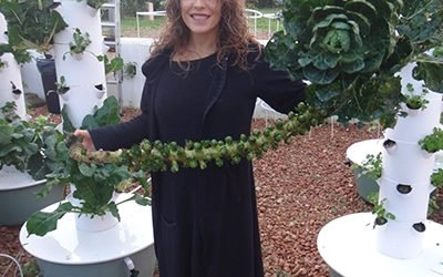Spruitjes op een Tower Garden