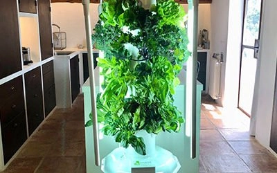 Tower Garden is eindelijk beschikbaar in Europa