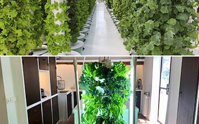 Quelle est la différence entre une Tower Garden® est une Tower Farm?