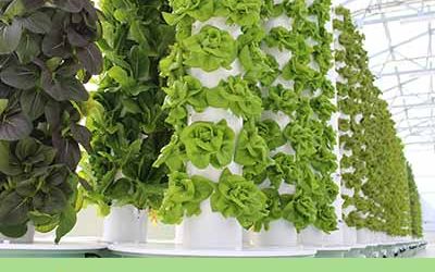 Tower Farm & Tower Garden technology at the International Green Week in Berlin (IGW)