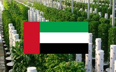 Thank you Dubai for being Dubai!