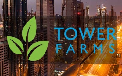 Tower Farm in Abu Dhabi