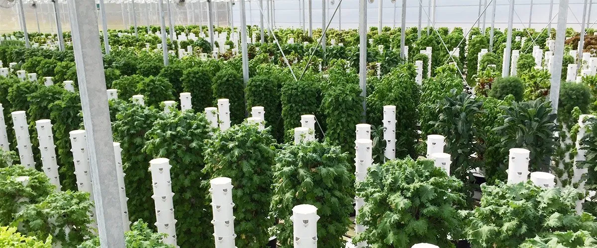 tower-farms