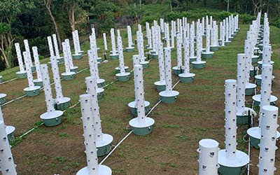 Tower Farm’s inception in the Philippines