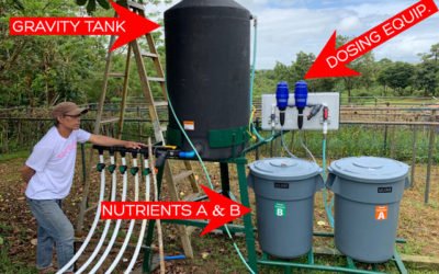 How does a Tower Farm automated irrigation system work?