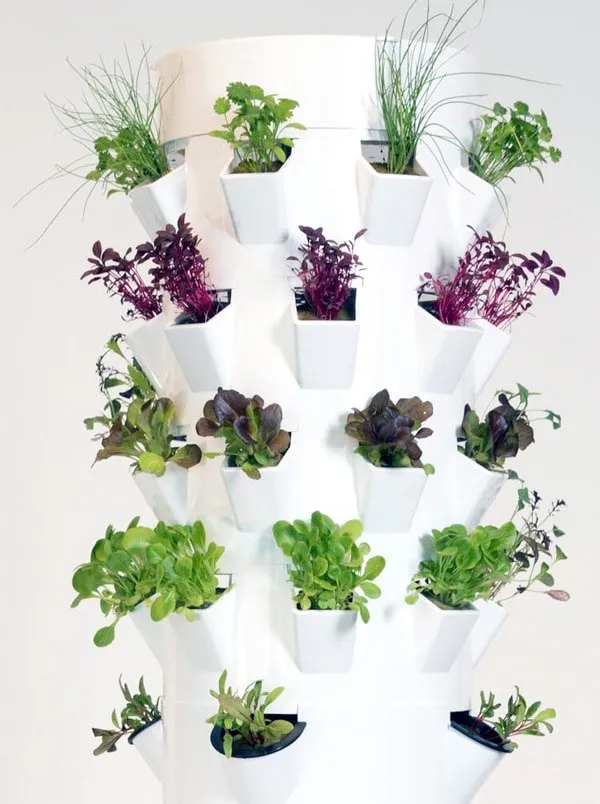 microgreen-tower-garden-6