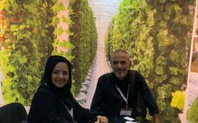Tower Farm Dubai