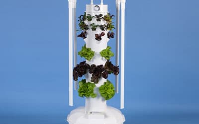 Countries Where Tower Garden is Currently Available
