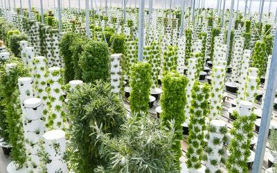 Vertical Farming with Aeroponic Towers by Tower Garden.
