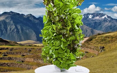 Tower Garden Latin America