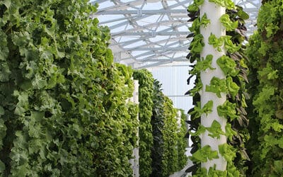 Tower Garden in Germany