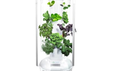 Tower Garden, coronavirus and food security.