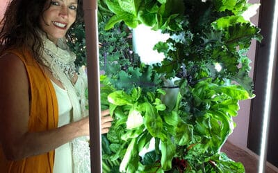 Ordering Tower Garden in the UK (England, Northern Ireland, Scotland, and Wales.)