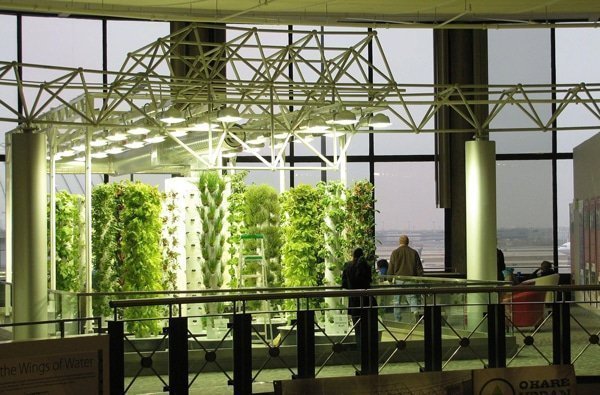 tower-garden-chicago-o-hare-airport