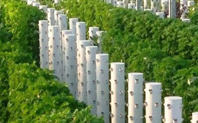Message to organic farming and permaculture aficionados