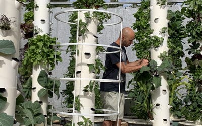 Aeroponics tube? Aeroponics column? Aeroponic tower? Which one is the Tower Garden?