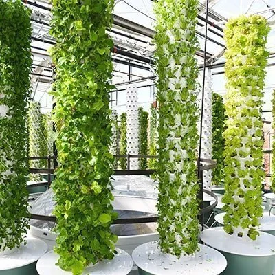 Qual è la differenza tra una normale Tower Garden aeroponica e le Tower Garden Microgreen?