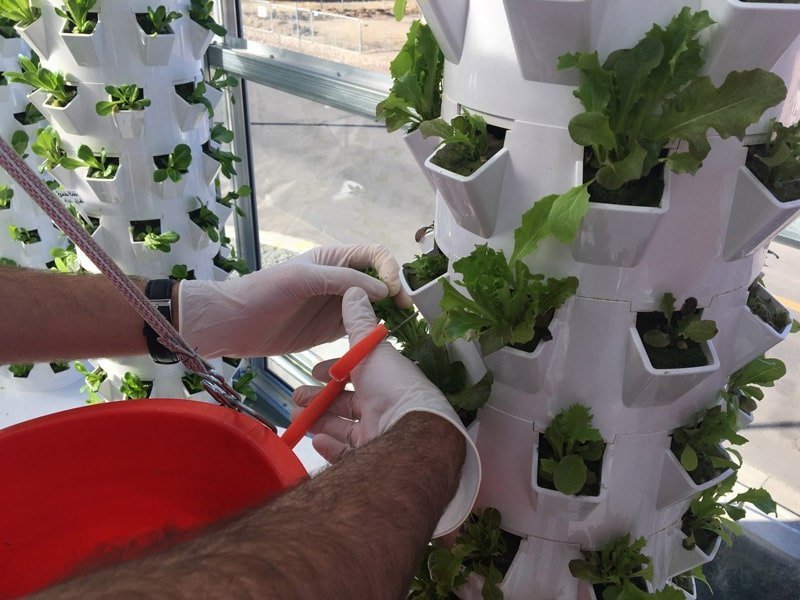 microgrrens-aeroponics