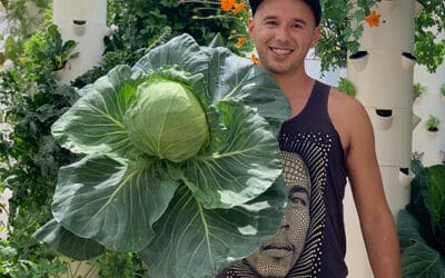 Tower Farm = Farming for Dummies!