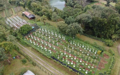 Agrotonomy Tower Farms’ Clientele Worldwide