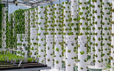 Should I set up a Tower Farm outdoors, indoors, or in a Greenhouse?