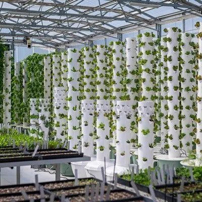 Dovrei installare una Tower Farm all’aperto, al chiuso o in una serra?