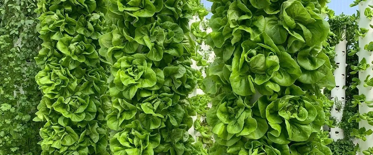 tower-farms-vertical-farming-6