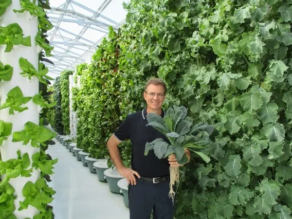 tower-garden-kale