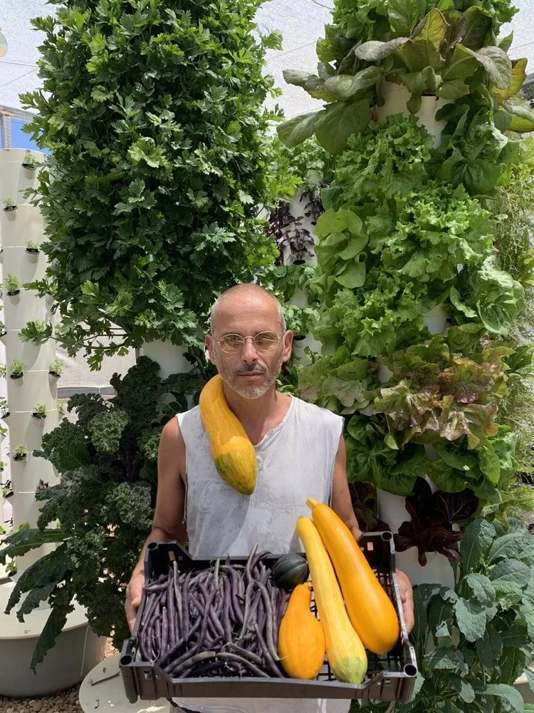 celery-tower-farms