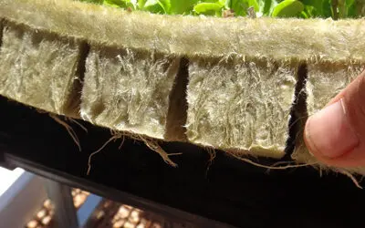 Rockwool Growing Medium for Tower Garden