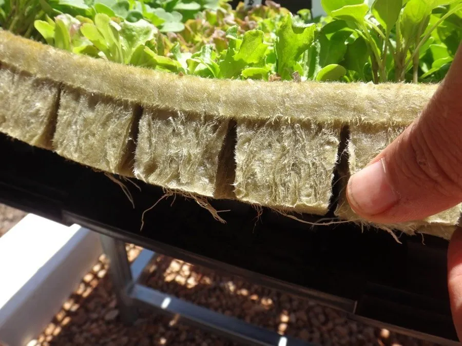 tower-garden-rockwool