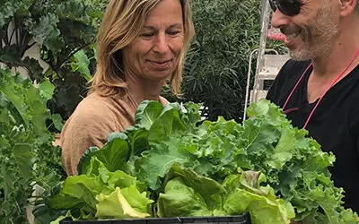 Responding to Coronavirus with Vertical Farming!