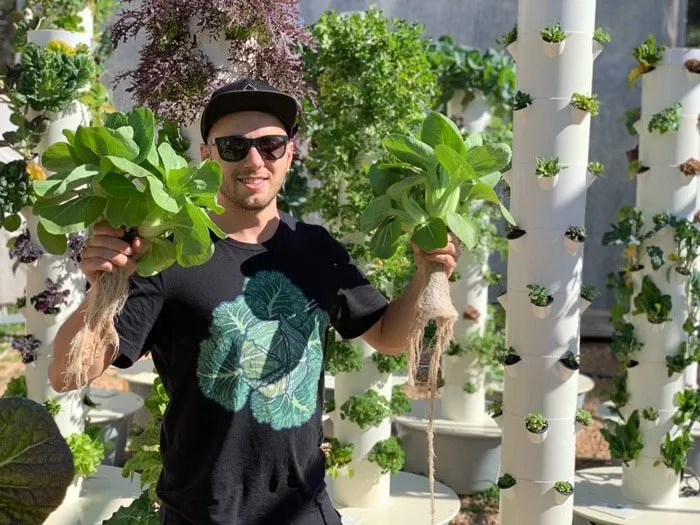 hydroponic-bok-choy