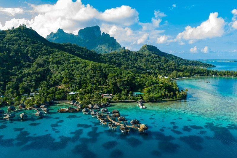 tahiti-tower-farm
