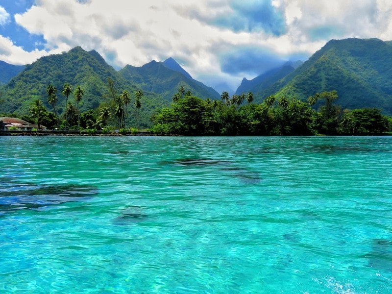 tahiti-vertical-farm