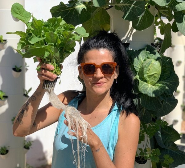 tower-garden-arugula-aeroponics