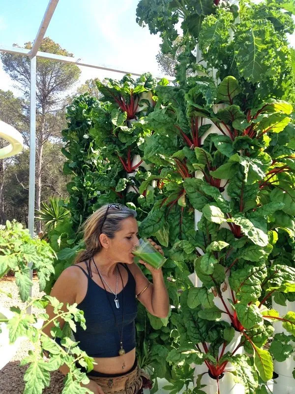 tower-garden-chard-hydroponics