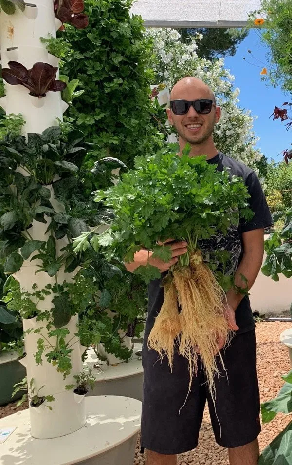 tower-garden-parsley