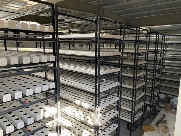 vertical-stacked-trays-hydroponics