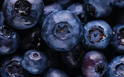 Do Blueberries and Raspberries Grow on a Tower Garden?