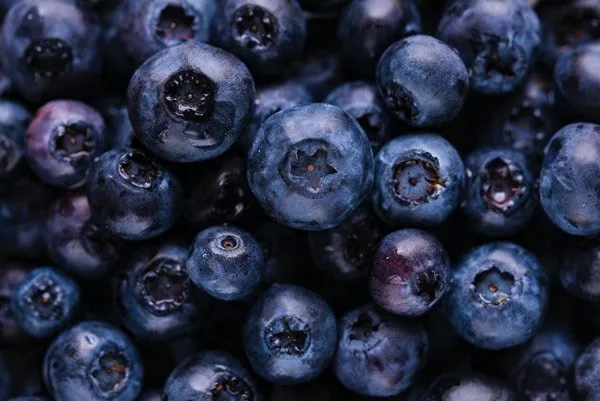 blueberry