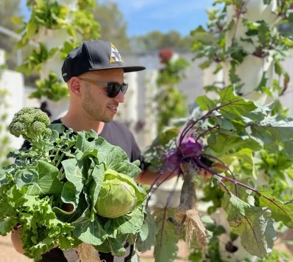 brassica-tower-garden