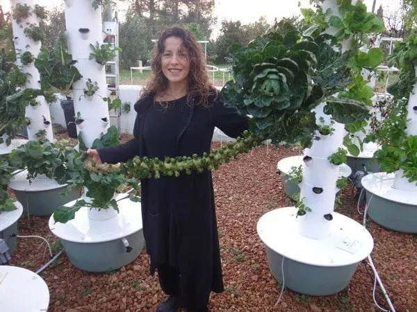 brussel-sprouts-tower-garden