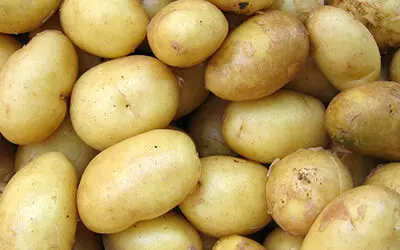 Can I Grow Potatoes and Carrots on a Tower Garden?