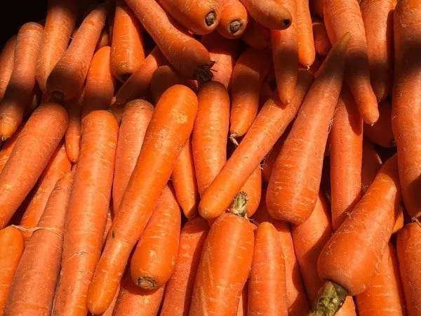 carrots-tower-garden
