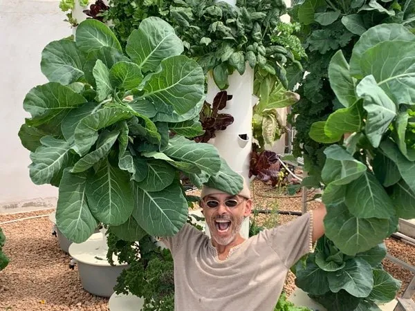 hydroponic-collard-greens-tower-garden