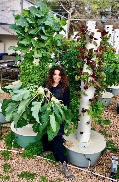 kohlrabi-hydroponic-tower
