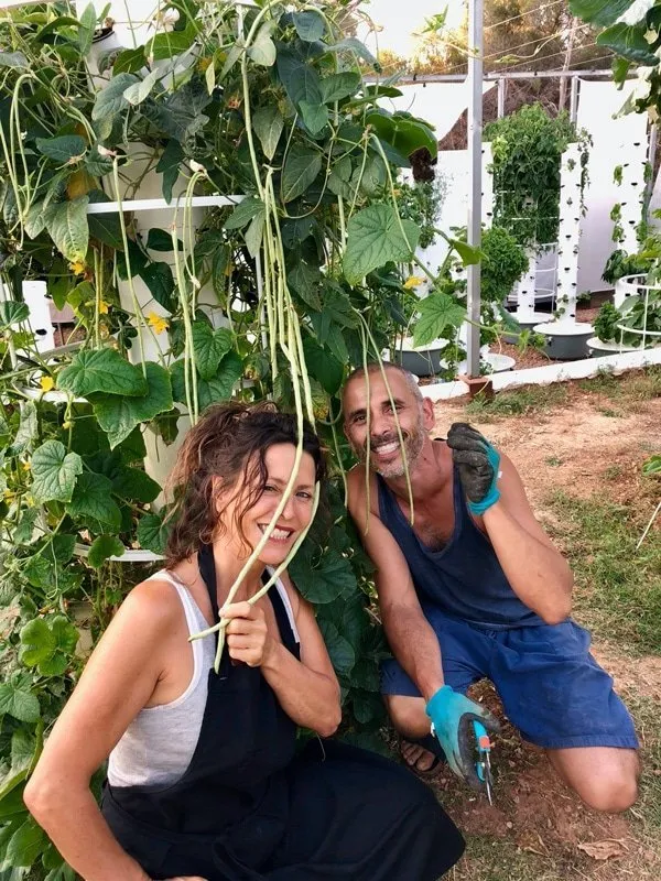 pole-beans-tower-garden