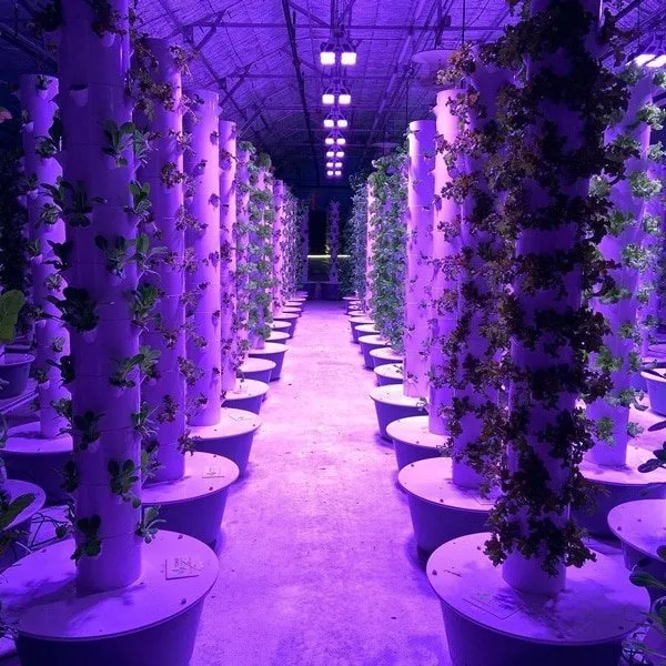 spectragrow-tower-farm