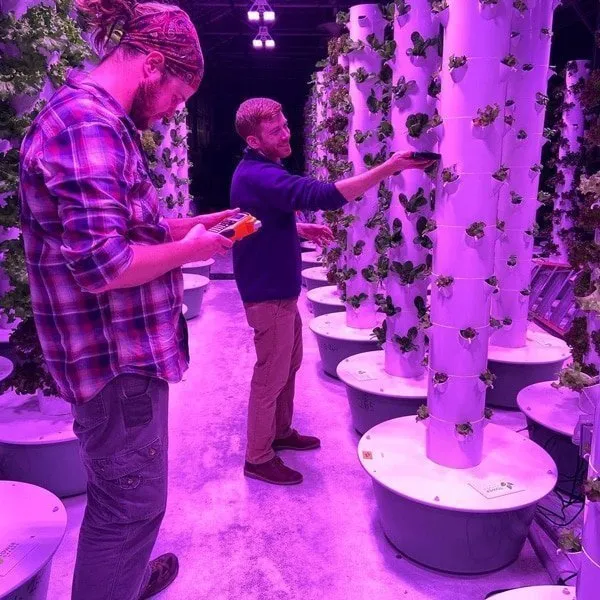 spectragrow